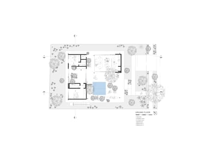 A Forest in the House